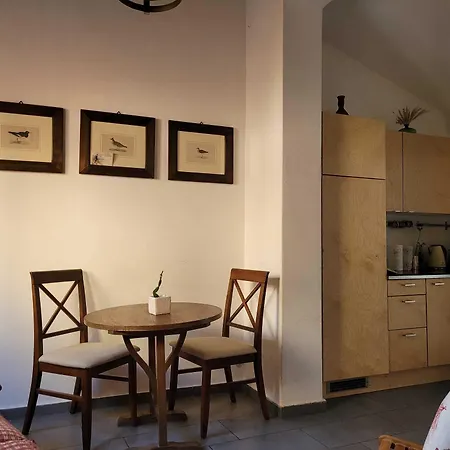 Mojocohouse 게스트하우스 팔레르모